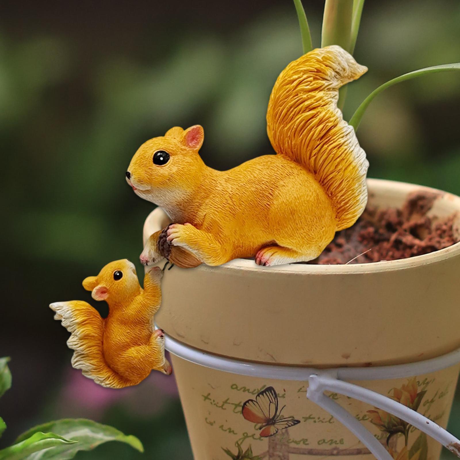 Garden Squirrel Ornament Resin - Bonsai Garden Art review and price