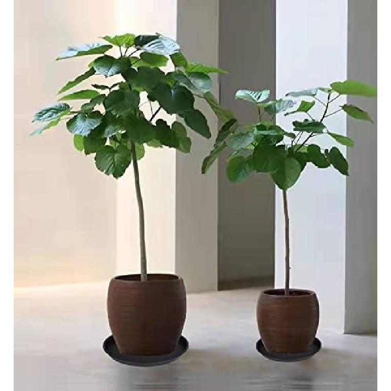 4Pcs Heavy Duty Plastic Plant  - Drip Tray Saucer review and price